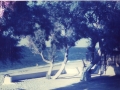 photo01