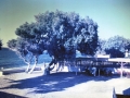 photo02