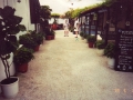 photo14
