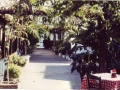 photo15