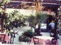 photo16
