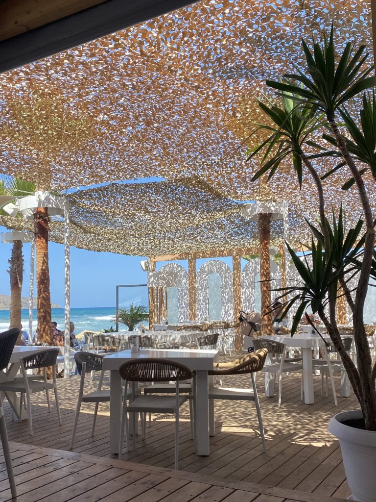 Η βεράντα κάτω από τους φοίνικες